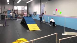 Nova Agility Week 5 - Second Run