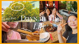 Days in My Life Vlog ✨: eating, meeting friends, visit relatives