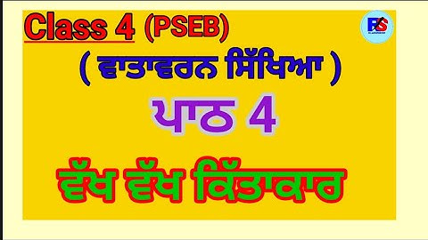 Class 4 | PSEB |  EVS | Lesson 4 Vakh Vakh Kittakar (ਵੱਖ ਵੱਖ ਕਿੱਤਾਕਾਰ) |Solved exercise #punjabi