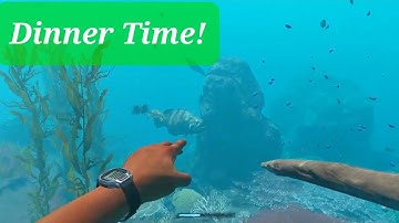 Giant Grouper for Suppie #strandeddeep