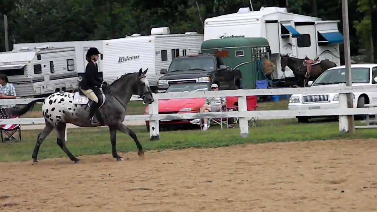 Hunt seat equitation over fences YouTube