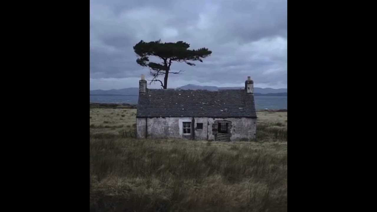 (Free) Wisp x Shoegaze Type Beat 