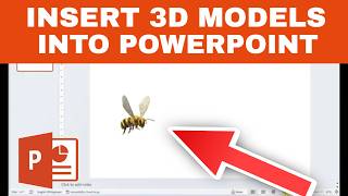 How to Insert 3D Models into Your PowerPoint (Images & Animations)