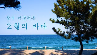 Staying in front of the East Sea in Korea waiting for spring February Sea ASMR