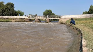 Beautiful canal road #travel #village #punjab #canal by Village Food Exploring  342 views 7 months ago 2 minutes, 36 seconds