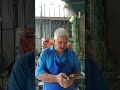 "EN VIVO"POR QUE CAE UN NEGOCIO" HELADOS DON LUIS TUTORIALES