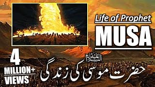 Hazrat Musa As Story in Urdu | Life of Prophet Musa | Qasas ul Anbiya in Urdu | IslamStudio