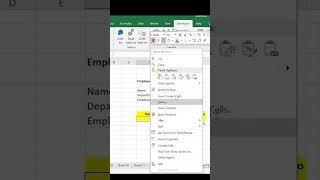 Update Employee Data in Excel Using Macros