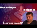 С ЧЕМ ИДТИ НА СУДАКА? Обзор воблеров в моей коробке для ночного судака на Москва-реке