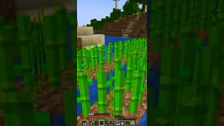 Granda bieno da sukero #esperanto #esperonova