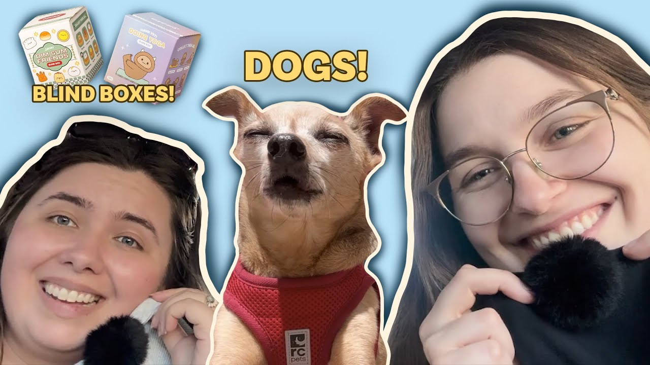 SENIOR DOGS & BLIND BOXES VLOG