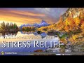 Classical Music for Stress Relief