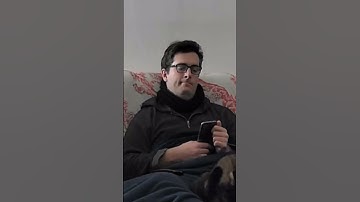 Probable Epilepsy (5/12/2025) while talking #epilepsy  #cat