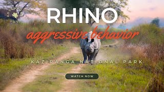 Rhino aggressive behavior video