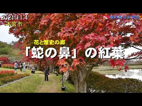 ふくしま紅葉だより 蛇の鼻の紅葉 Youtube