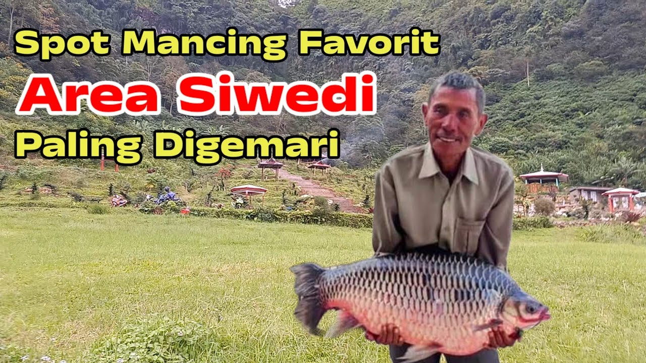 Mancing Mania Pasti Suka Mancing Disini, Banyak Ikan Mendekat Ke Pinggir Danau