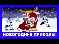 НОВОГОДНИЕ ПРИКОЛЫ! Встречаем Год БЫКА на позитиве!