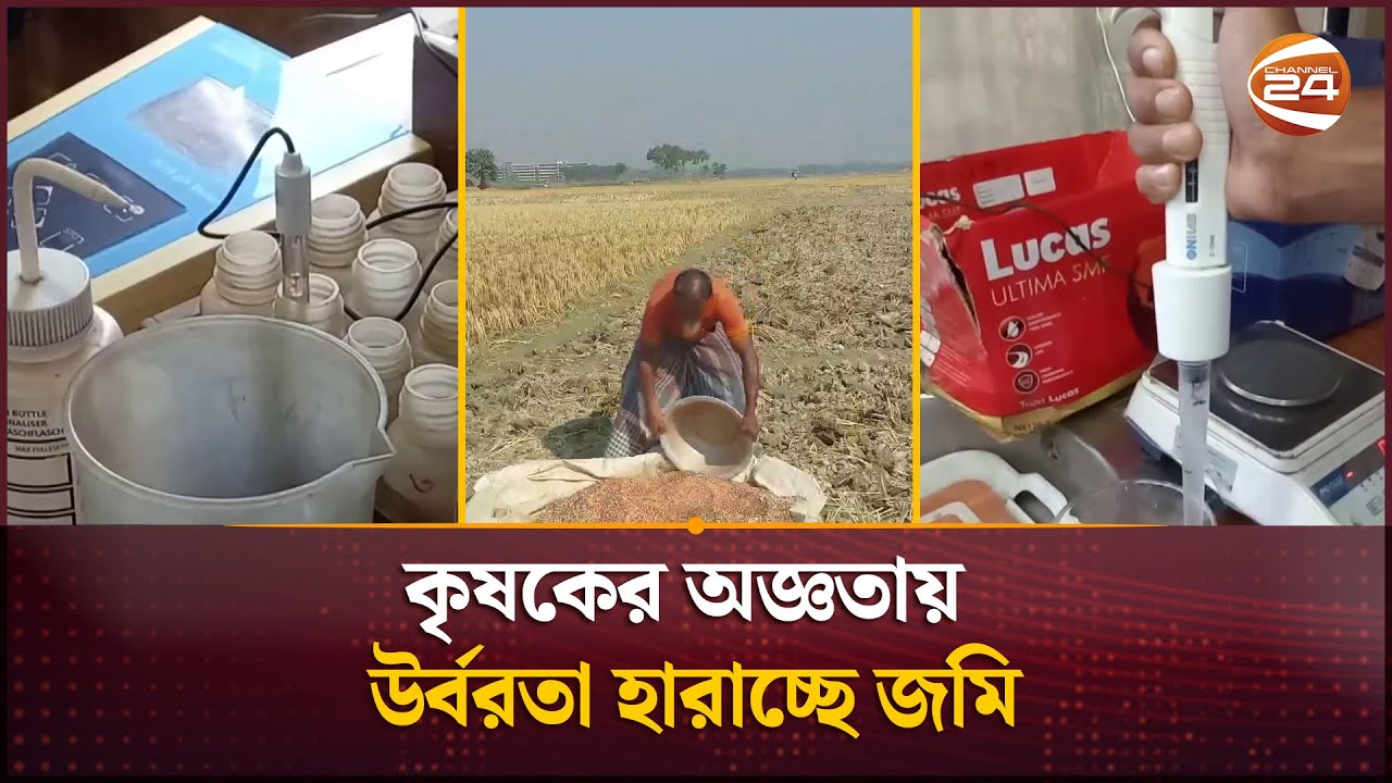 ২৫ টাকায় করা যাচ্ছে ফসলি জমির মাটি পরীক্ষা, খুশি কৃষক | Soil Test | Krishi 24 | Channel 24