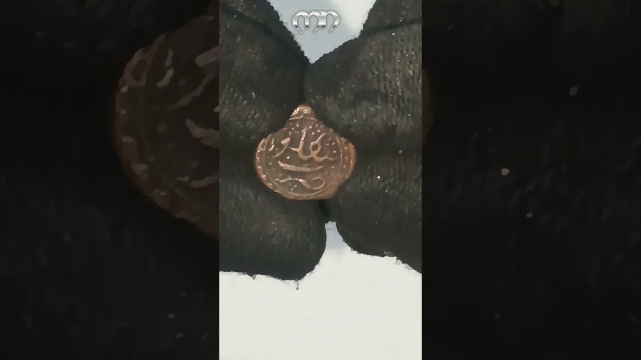 Tipu Sultan Mysore King 1216 H Quarter Paisa 1750-1779 Bengaluru Mint @menumist 