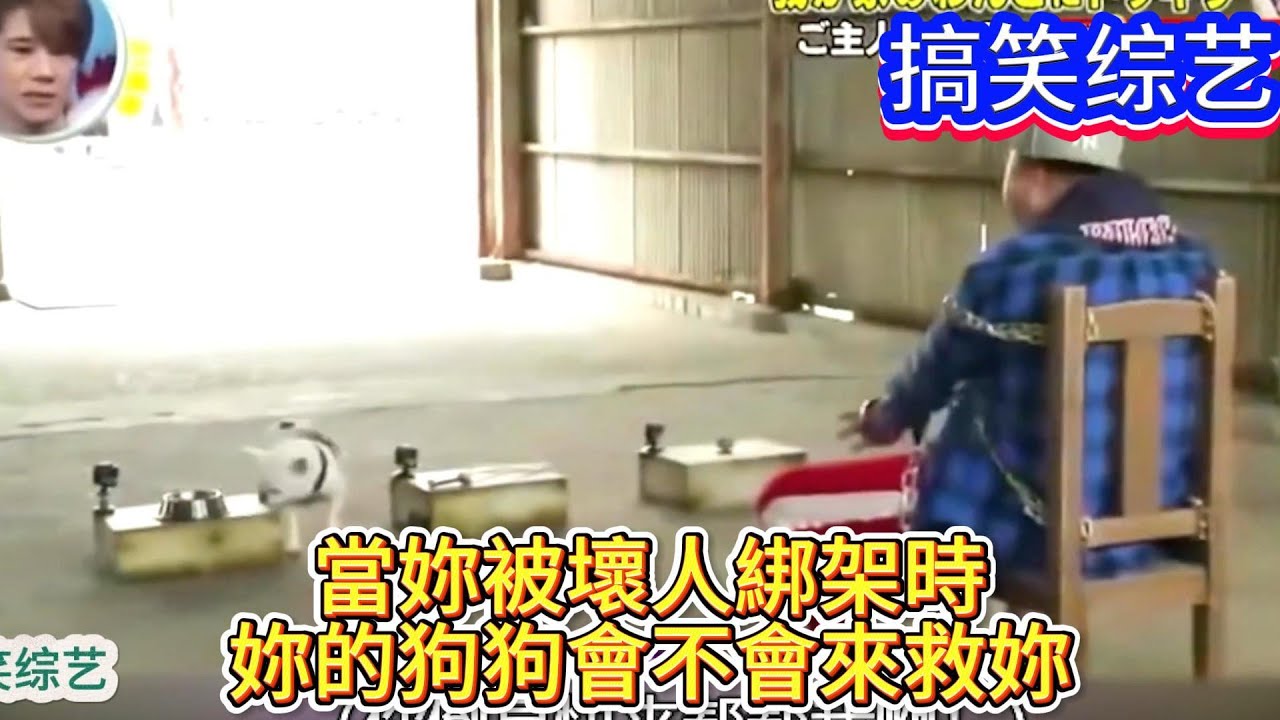 搞笑綜藝：當妳被壞人綁架時，妳的狗狗會不會來救妳？
