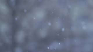 Snow flakes slow motion | Video Effects
