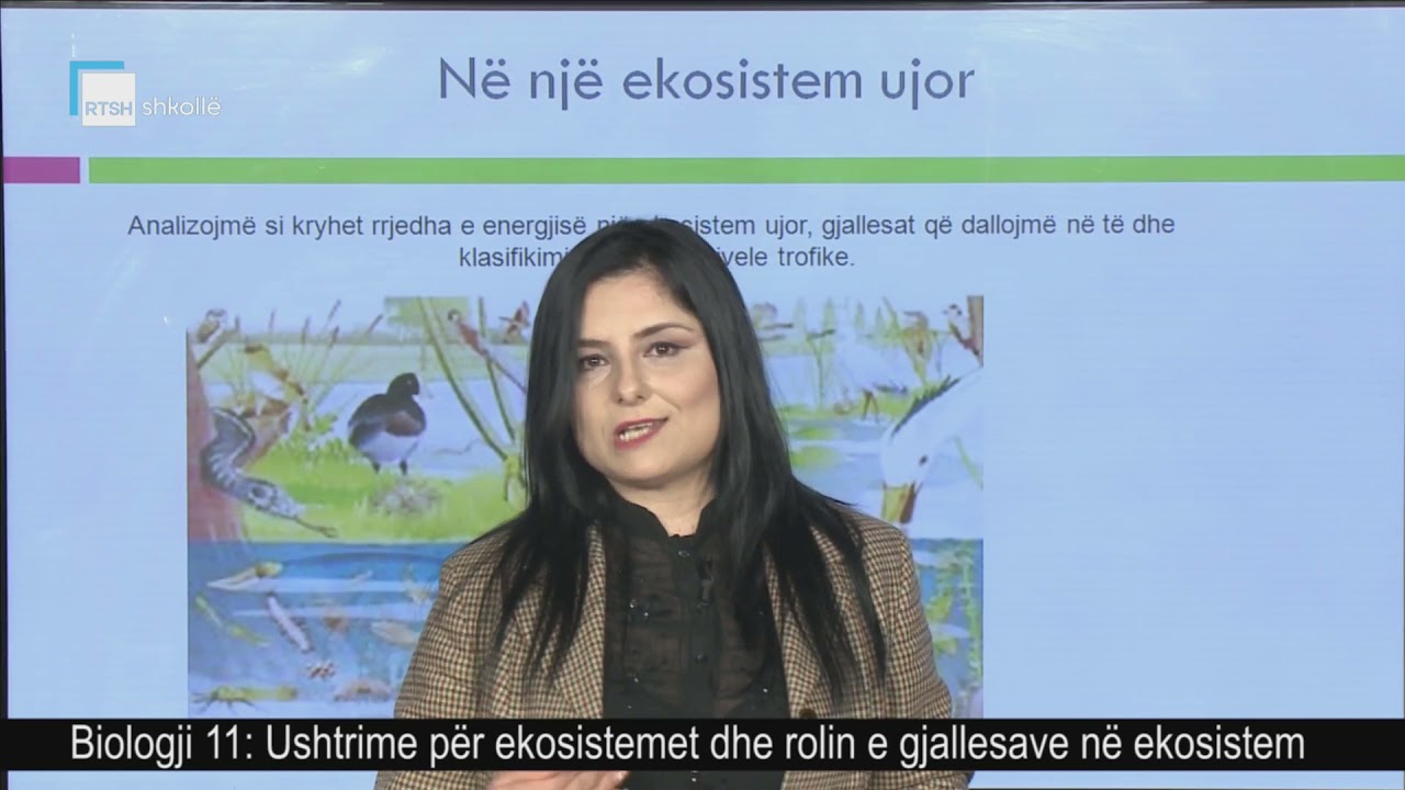 Biologji 11 - Ushtrime për ekosistemet dhe rolin e gjallesave në ekosistem