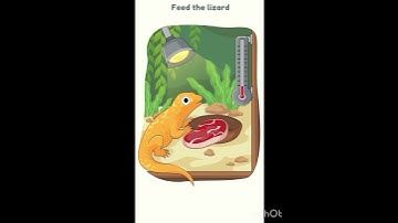 DOP 3 Level 13 feed the lizard 🦎🦎🦎