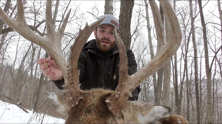 Late Season Wisconsin Archery Buck | Big Old Bruiser!