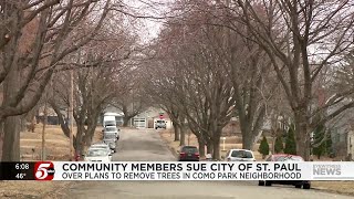 Community members suing St. Paul over plans to remove trees in Como Park neighborhood