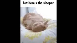 but heres the sleeper