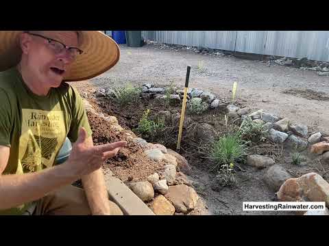 Plant the rain—don't drain it—to end the drought with passive water harvesting by Brad Lancaster