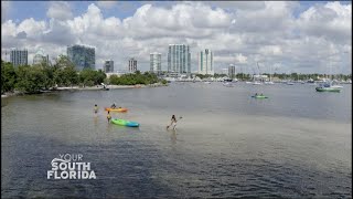 Saving the Bay | Your South Florida