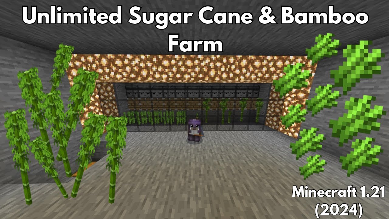 CHEAP Automatic SUGARCANE & BAMBOO Farm Minecraft 1.21 Bedrock 2024 ...