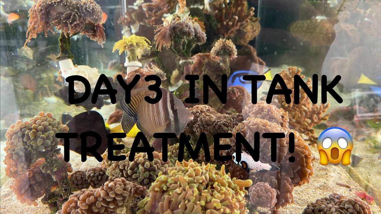 Day 3! Final day of treatment