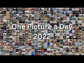 One picture a day  2022 full
