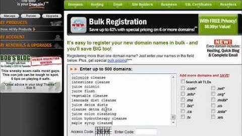 SEO TRAINING - Domain Name Selection