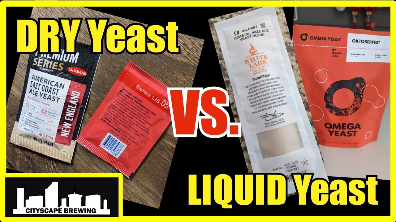 DRY or LIQUID Yeast? Which should YOU use? YouTube
