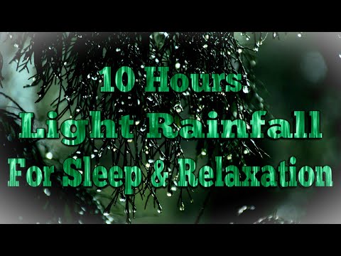 ASMR - 10 Hours Light Rainfall -  Black Screen - Relaxation - Sleep