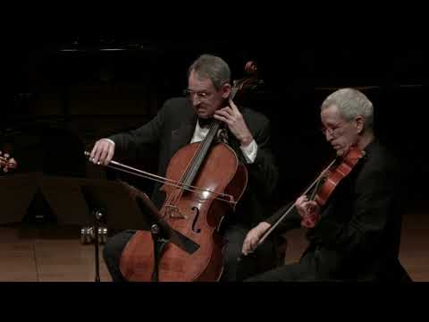 Verdi Quartet In E Minor For Strings I Allegro 