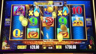 WHALES OF CASH EPIC WIN!!  MAX BET 5 TRIGGER BONUS!!