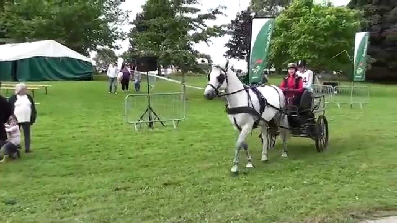 CHEVAUX - ATTELAGE de la BAIE - Château de MOIDREY - 2014 - HD