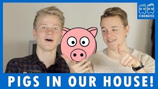Pigs in our house!