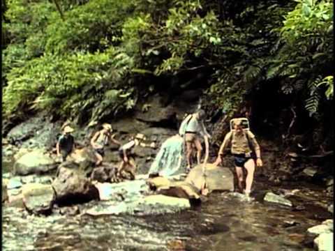 79 - Одиссея Жака Кусто - Акулы острова сокровищ