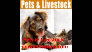 Post FREE classifieds ads