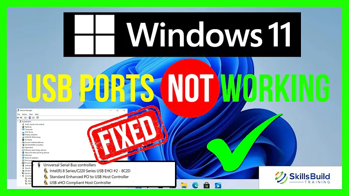 How to Fix USB Ports Not Working in Windows 11 [FAST]