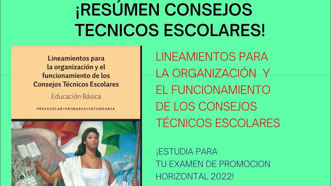 RESUMEN LINEAMIENTOS PARA LA ORGANIZACIÓN Y EL FUNCIONAMIENTO DE LOS