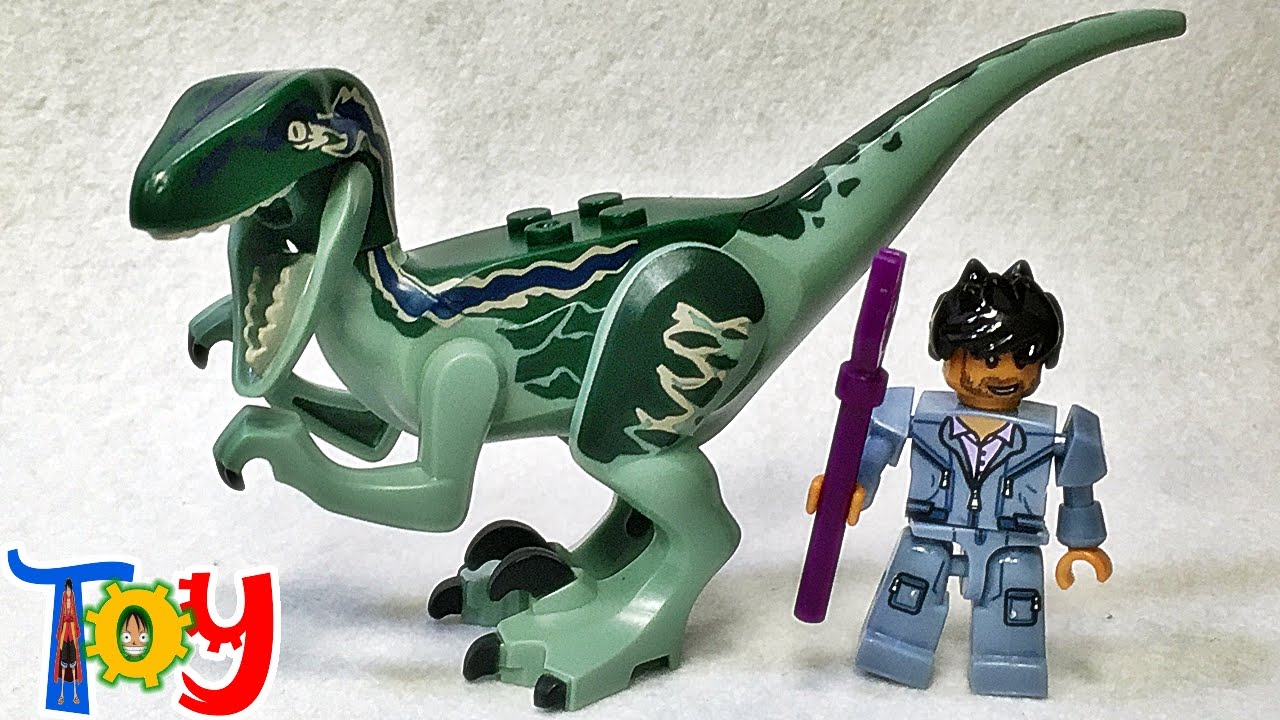 Yg 쥬라기 월드 벨로시렙터 블루 공룡 레고 짝퉁 크레오 미니피겨 리뷰 Lego Knockoff Jurassicworld Blue  Dino - Youtube
