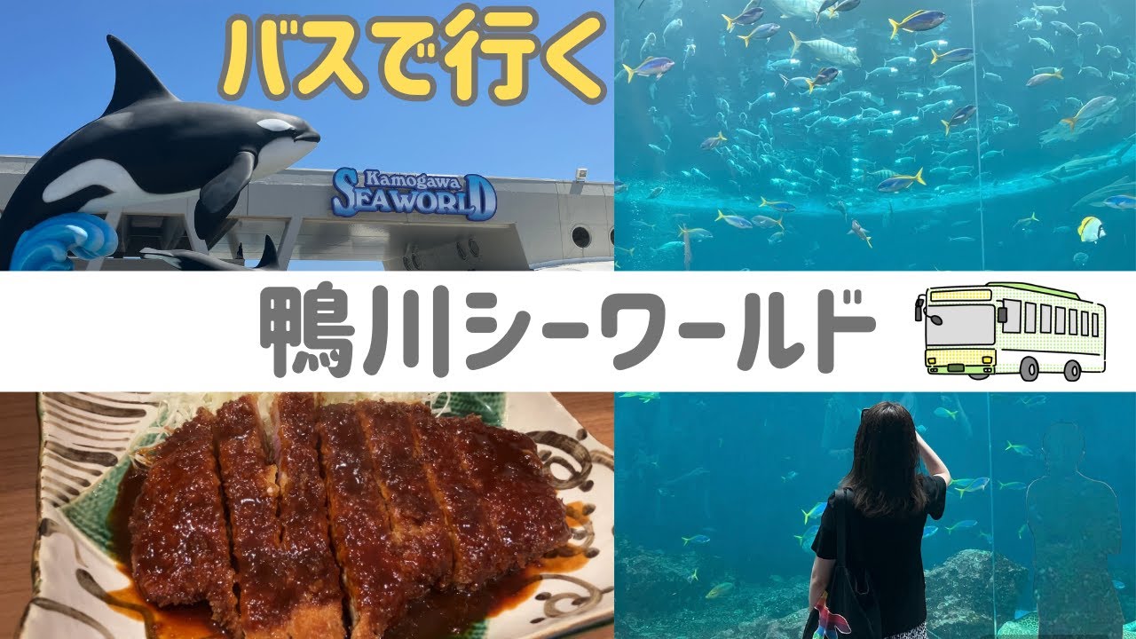 【鴨川シーワールド】一度は行きたい！東京から行くおすすめ日帰り旅