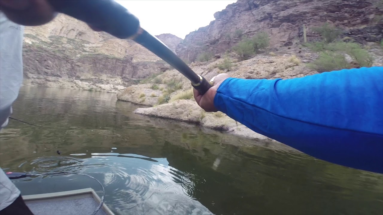 BASS FISHING with THE KING on his new SKETCHY JON BOAT and my NEW SWIMBAIT