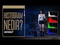 Photoshop Histogram Nedir? Histogram Nasıl Okunur?